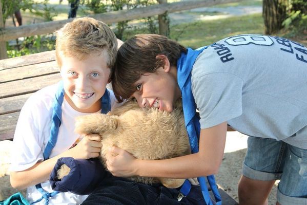 Clicca per vedere l'immagine alla massima grandezza