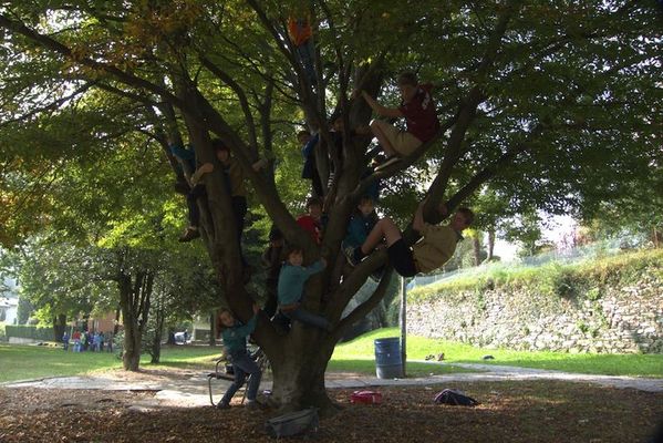 Clicca per vedere l'immagine alla massima grandezza
