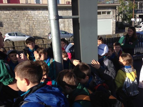 Clicca per vedere l'immagine alla massima grandezza