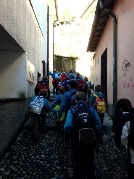 Clicca per vedere l'immagine alla massima grandezza