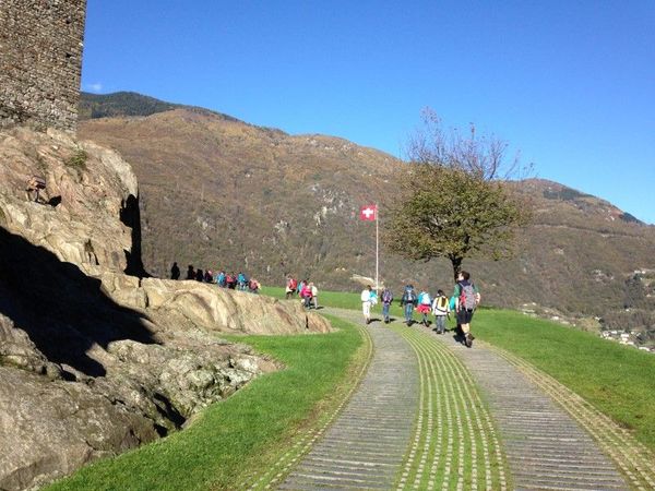 Clicca per vedere l'immagine alla massima grandezza