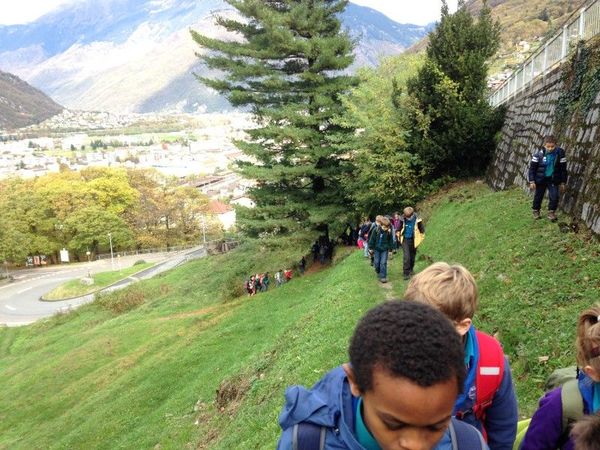 Clicca per vedere l'immagine alla massima grandezza