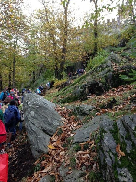 Clicca per vedere l'immagine alla massima grandezza
