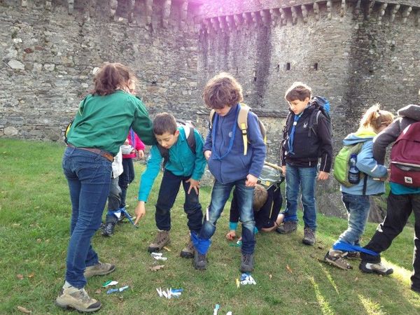 Clicca per vedere l'immagine alla massima grandezza