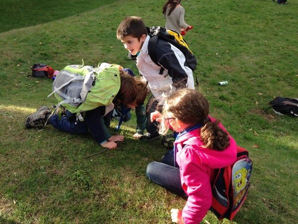 Clicca per vedere l'immagine alla massima grandezza