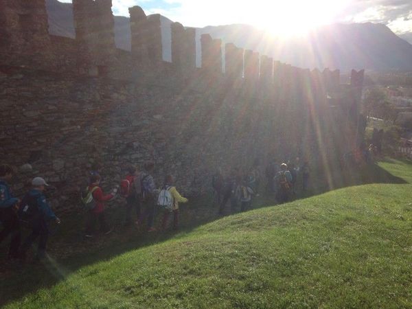 Clicca per vedere l'immagine alla massima grandezza