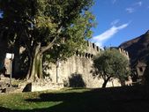 131109_LUPI_UscitaBellinzona_027.JPG