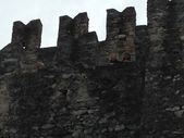 131109_LUPI_UscitaBellinzona_030.JPG