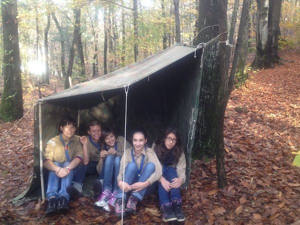 Clicca per vedere l'immagine alla massima grandezza