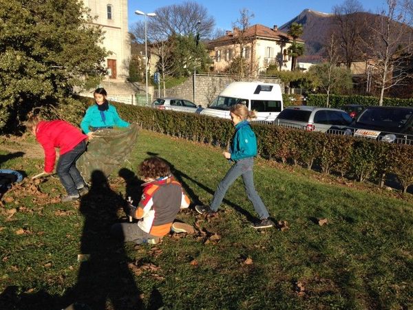 Clicca per vedere l'immagine alla massima grandezza