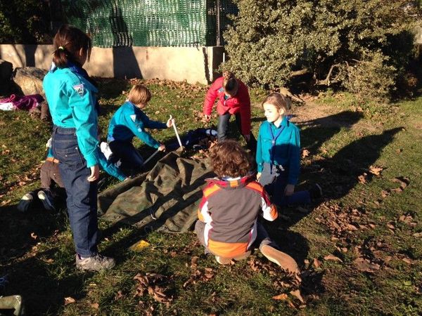 Clicca per vedere l'immagine alla massima grandezza
