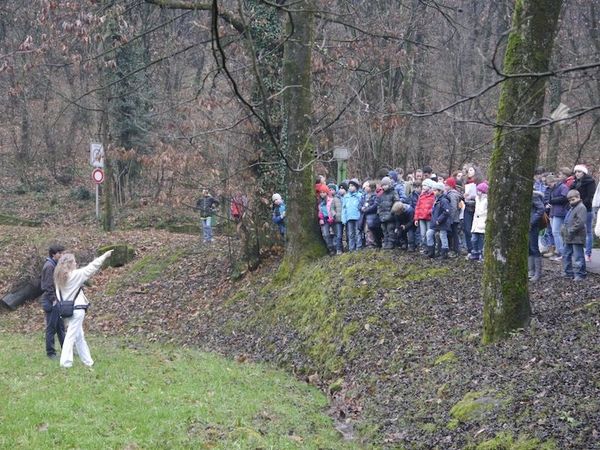 Clicca per vedere l'immagine alla massima grandezza