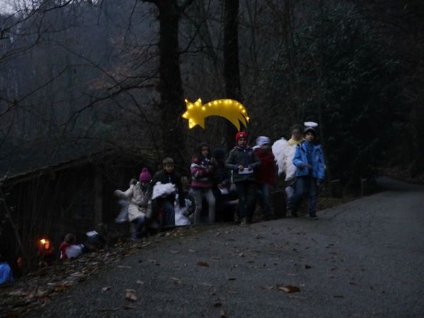 Clicca per vedere l'immagine alla massima grandezza