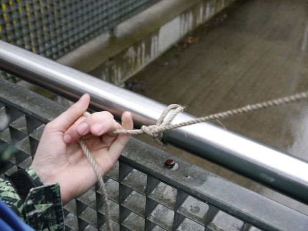 Clicca per vedere l'immagine alla massima grandezza