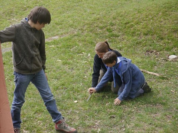 Clicca per vedere l'immagine alla massima grandezza
