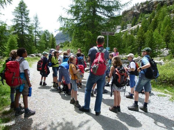 Clicca per vedere l'immagine alla massima grandezza