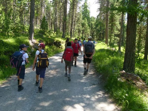 Clicca per vedere l'immagine alla massima grandezza