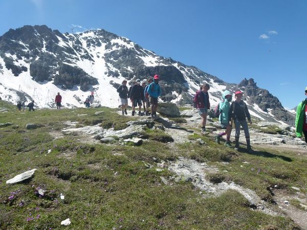 Clicca per vedere l'immagine alla massima grandezza