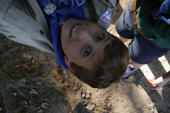 Clicca per vedere l'immagine alla massima grandezza