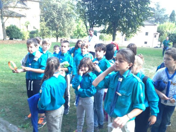 Clicca per vedere l'immagine alla massima grandezza