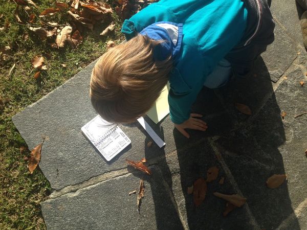 Clicca per vedere l'immagine alla massima grandezza