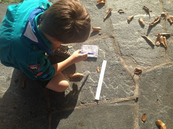 Clicca per vedere l'immagine alla massima grandezza