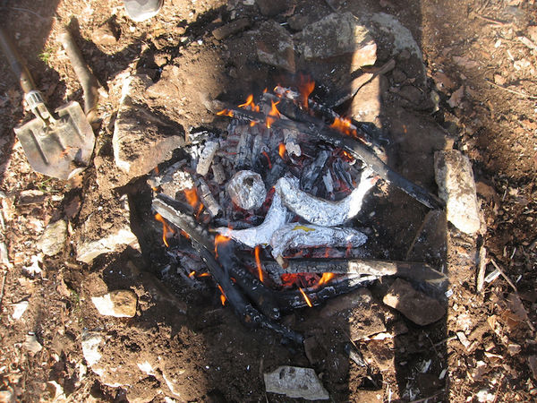 Clicca per vedere l'immagine alla massima grandezza