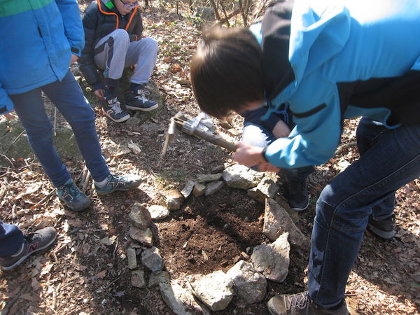 Clicca per vedere l'immagine alla massima grandezza