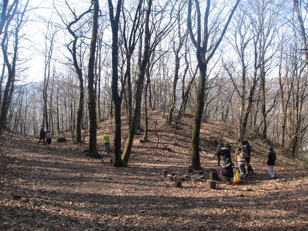 Clicca per vedere l'immagine alla massima grandezza