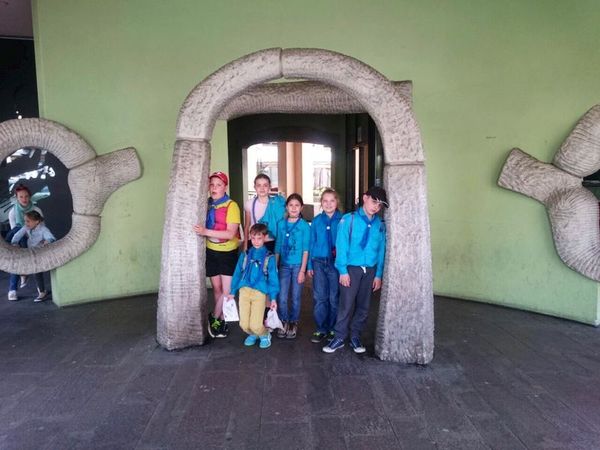 Clicca per vedere l'immagine alla massima grandezza