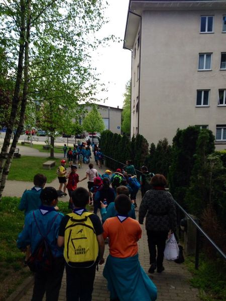 Clicca per vedere l'immagine alla massima grandezza