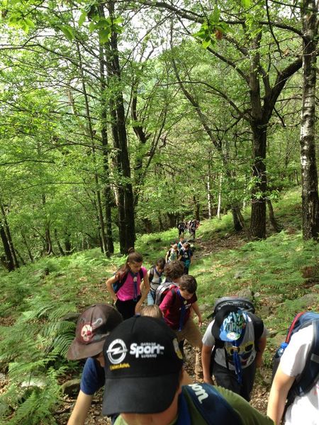 Clicca per vedere l'immagine alla massima grandezza