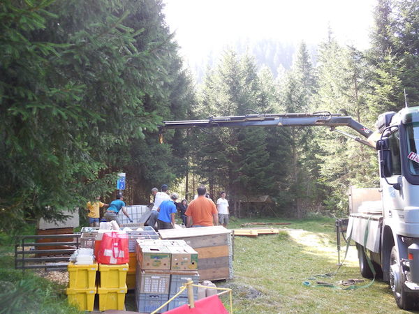 Clicca per vedere l'immagine alla massima grandezza