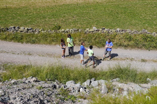 Clicca per vedere l'immagine alla massima grandezza