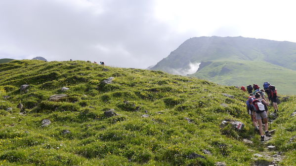Clicca per vedere l'immagine alla massima grandezza