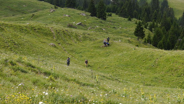 Clicca per vedere l'immagine alla massima grandezza