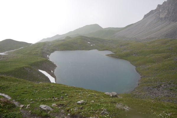 Clicca per vedere l'immagine alla massima grandezza