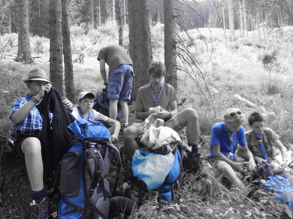 Clicca per vedere l'immagine alla massima grandezza