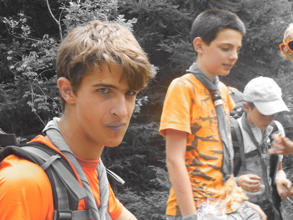 Clicca per vedere l'immagine alla massima grandezza