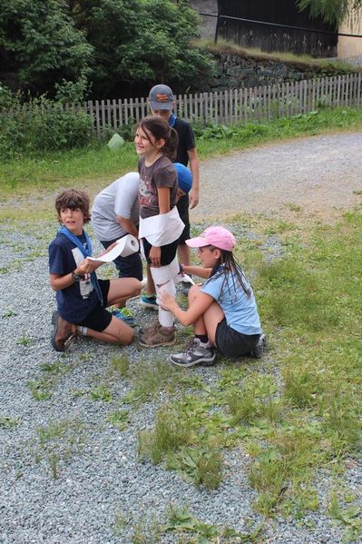 Clicca per vedere l'immagine alla massima grandezza