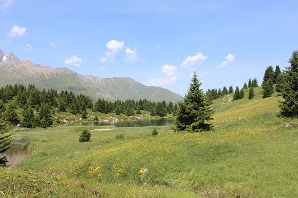 Clicca per vedere l'immagine alla massima grandezza