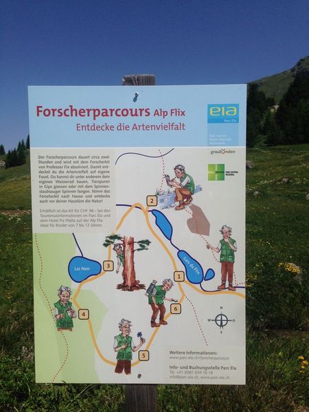 Clicca per vedere l'immagine alla massima grandezza
