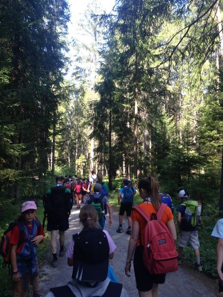 Clicca per vedere l'immagine alla massima grandezza