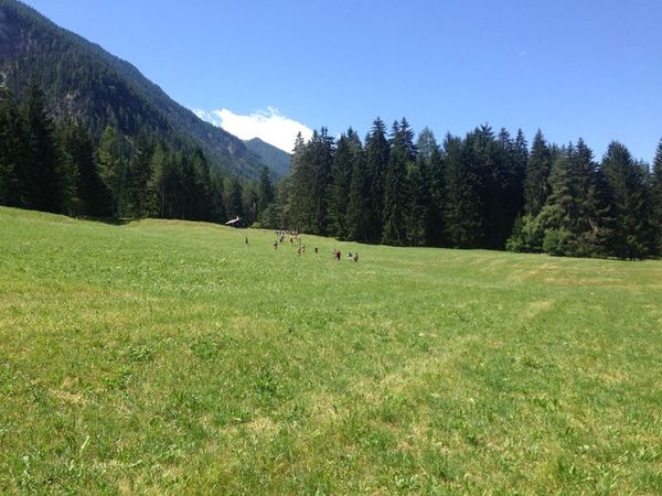 Clicca per vedere l'immagine alla massima grandezza