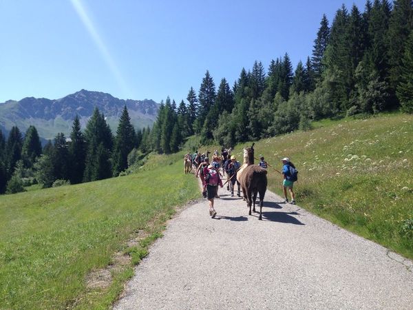 Clicca per vedere l'immagine alla massima grandezza