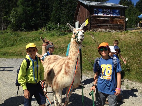 Clicca per vedere l'immagine alla massima grandezza