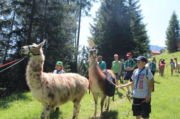 Clicca per vedere l'immagine alla massima grandezza