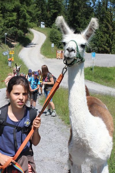 Clicca per vedere l'immagine alla massima grandezza