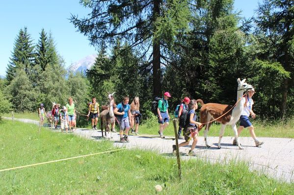 Clicca per vedere l'immagine alla massima grandezza