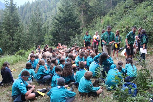Clicca per vedere l'immagine alla massima grandezza